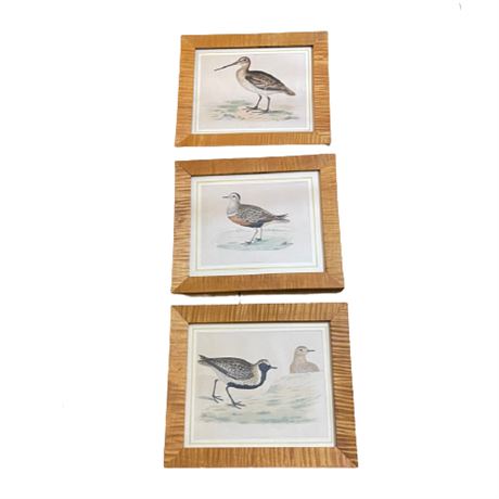 Game Bird Framed Prints
