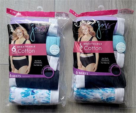 (2) New sealed pkg of Hanes Women's panty briefs, size 14