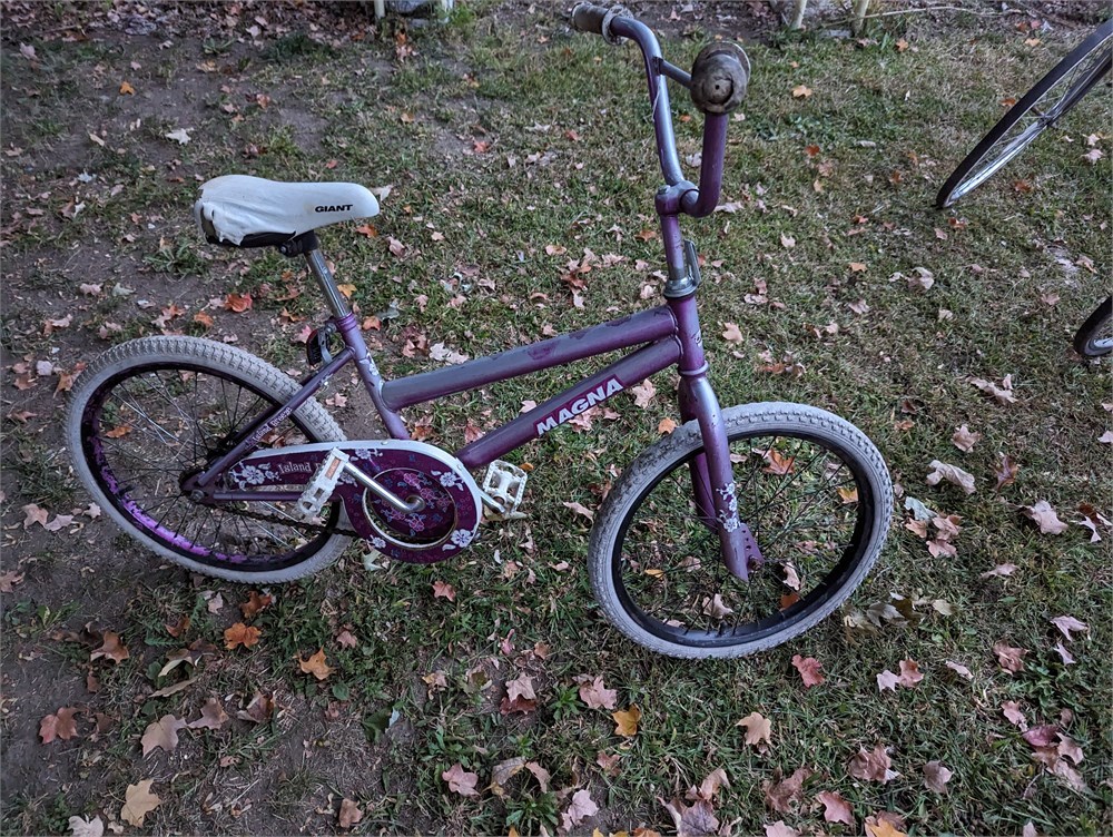 Rust Belt Revival Online Auctions Girls Bicycle