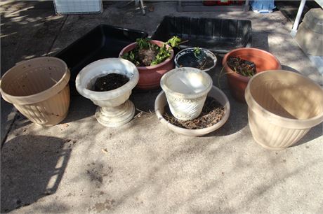 Assorted Planters and More
