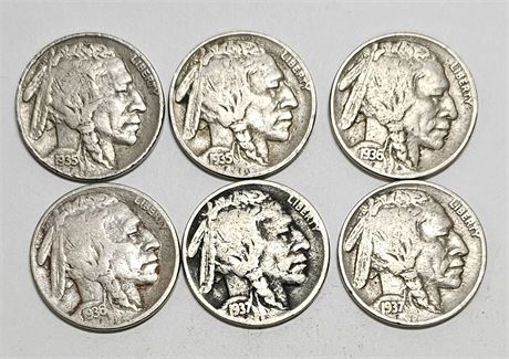 Buffalo Nickels (Lot of 6)