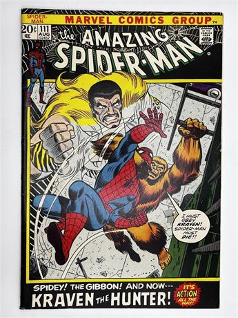 The Amazing Spider-Man #111 Comic Book