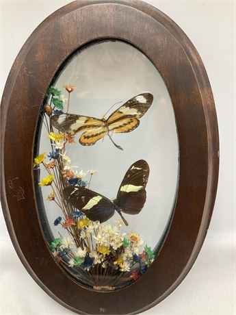 Framed Flowers & Butterflies Wall Art