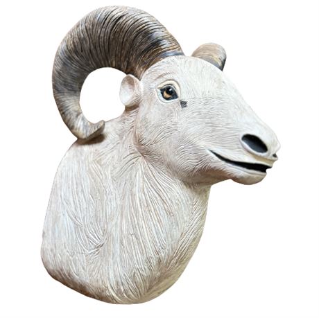 Rams Sheep Carved Wood Life Size Mount