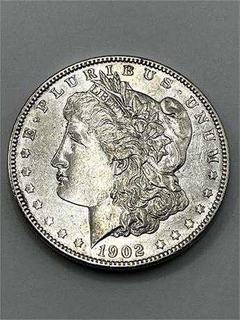 1902 Morgan Dollar Coin