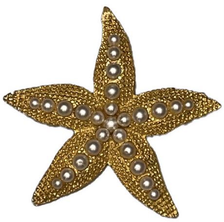 Starfish Brooch