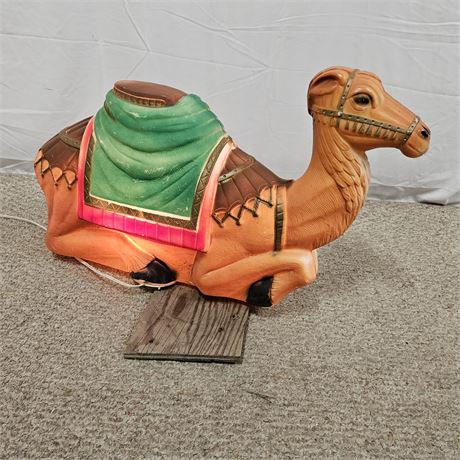 Lighted Camel Blow Mold