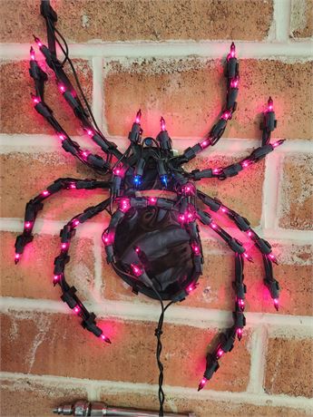 Halloween Lighted Spider