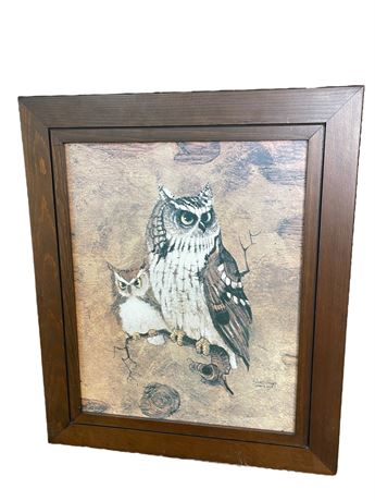 Richard Hinger Screech Owl Framed Print
