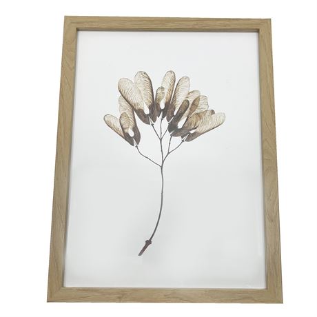 Maple Leaf Study Photograph Sepia, Framed