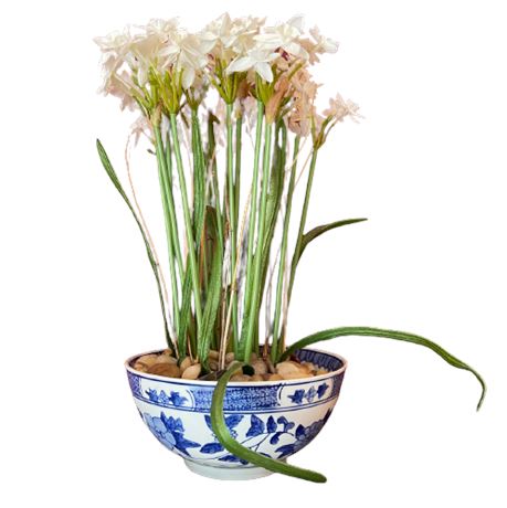 Paper-white Floral Arrangement in Chinese Bowl