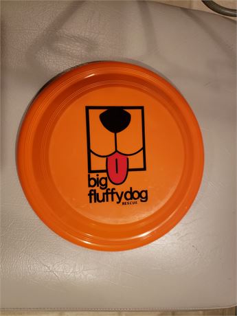 BFDR Frisbee