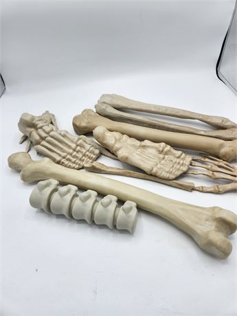 Halloween Plastic Bones