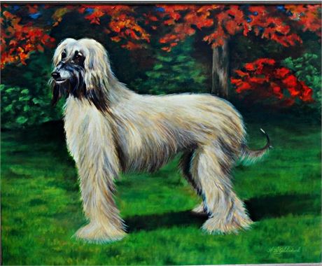 H.W. Goldsword ''Afghan Hound Dog''