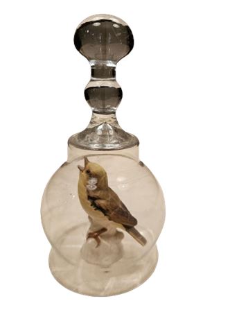 Goebel Wood Warbler Figurine Under Glass Globe