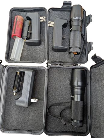 Rust Belt Revival Online Auctions - Shadowhawk Flashlights