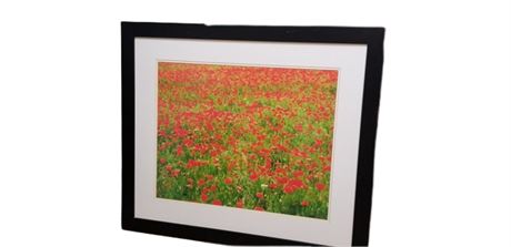 Poppies in a Field Signed Art Piece