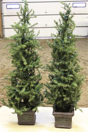 Two Potted Porch Christmas Trees