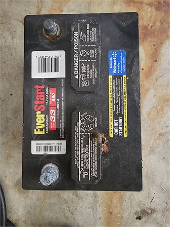 EverStart  Automotive Battery