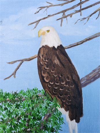 Bald Eagle oil painting