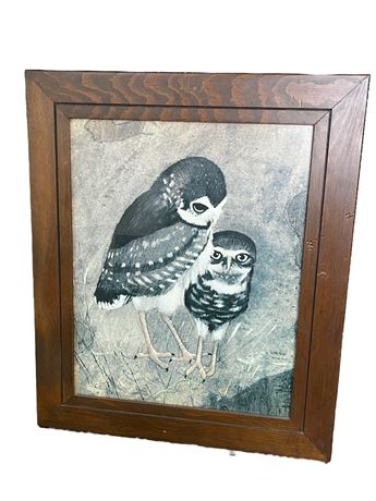 Richard Hinger Burrowing Owls Framed Print
