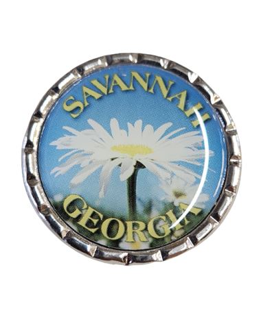 Collectors Savannah Georgia Push Pin
