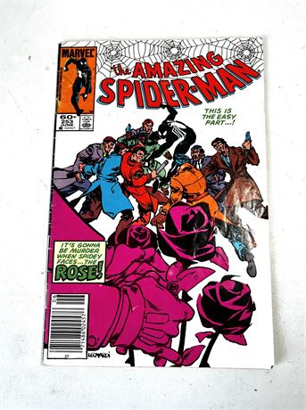 Marvel Comics SPIDER-MAN #253 June 1984 Comic